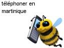 indicatif martinique